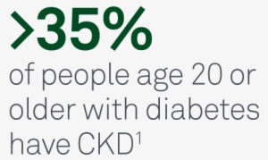 Diabetes Is The Leading Cause Of Chronic Kidney Disease - Chronic Kidney Disease #3727310