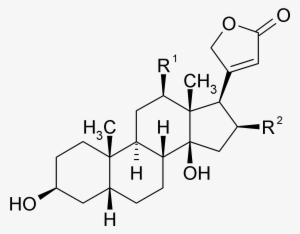File - Functional Groups In Androstenedione #3728293