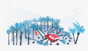 Front Cover Image From The Driving Deforestation Report #3730814