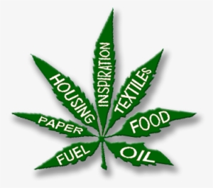 My Further Argument To This, Is That Hemp Oil Is A - Industrial Hemp Png #3731759