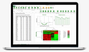 Xlstat Customization Is Based On The Visual Basic Language - Statistics #3732222