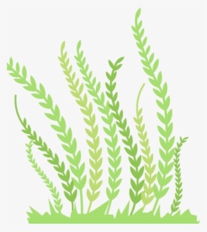 Perennial Ryegrass #3733261