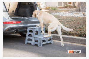 Gc08b Go Caddy Range Kleen Travel Bag Outdoor Bag Hands - Range Kleen Manufacturing, Inc. #3733639