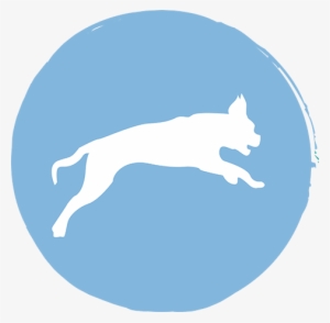 Immune Support - Immune System #3734010