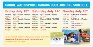 Canine Watersports Canada - Companion Dog #3734154