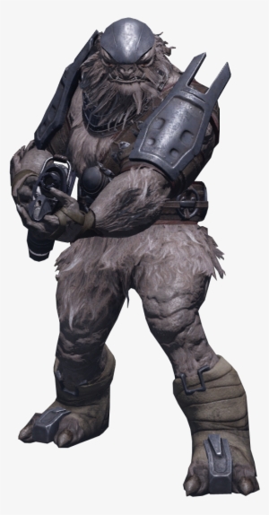 Design - Halo Jiralhanae #3734189