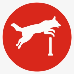 Agility Course - Flat Design #3734391