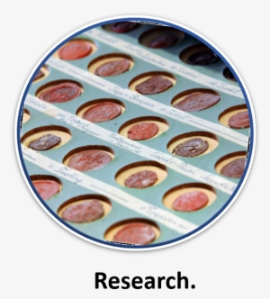 Due To The Expertise Of Over 45 Years, Pro Heraldica - Research Paper #3736214