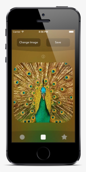 Photo May 21, 6 57 49 Pm - Peacock Feather 4k Hd #3736360