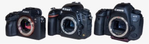 Camera Trio The Sony A7iii, Nikon D750, And Canon 6d - Canon Eos 5d Mark Ii #3736727