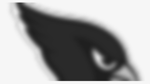 As San Francisco Prepares To Visit The New York Giants, - Close-up #3737577