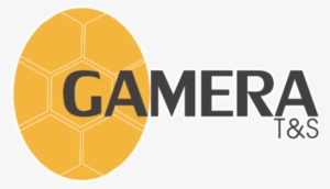 Ver Mas - The Gambia Scout Association #3738777