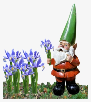 Gnome Iris Garden - Iris #3740346