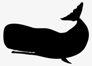 View All Images-1 - Transparent Whale Silhouette #3740963