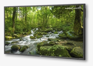 65" X651uhd, Ops Tcis Ps, 1yr 4k Moving Murals Content #3741019