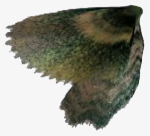 According To A Timeline Of Major Developments In The - Golden Eagle #3741024