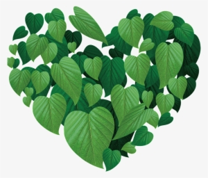 Leaf Heart Effect Design - 感人肺腑大愛故事精選輯 #3741046