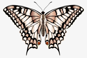 Portable Network Graphics #3741206