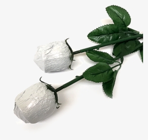 White Foiled Belgian Chocolate Color Splash Roses For - Belgian Chocolate #3742456