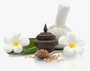 Relaxing Spa - Frangipani #3742916