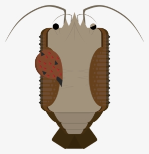 Animalmy Crippled Pet Crayfish - Illustration #3743392