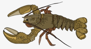Lobster - Portable Network Graphics #3744123
