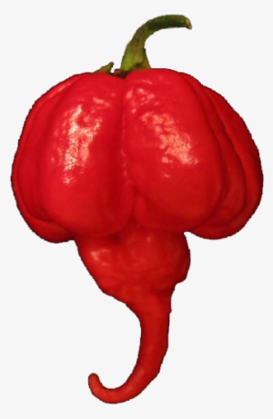 Ghost Pepper Challenge - Trinidad Moruga Scorpion Png #3746481