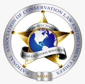 Final Badge Blue White Globe #3748683