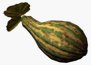 Gourd - Gord Food #3748989 Gourd - Gord Food #3748989