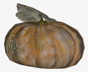 Gourd - Fallout Gourd #3749153