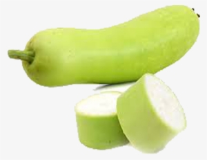 Bottle Gourd - Calabash #3749486