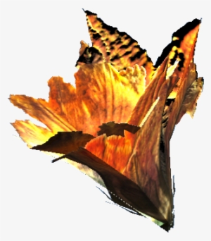 Gourd Blossom - Gourd Blossom Fallout 4 #3749573