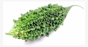 Bitter Gourd Images Png #3749680