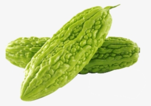 Momordica Charantia | Bitter Melon | Balsam Pear | #3749722 Momordica Charantia | Bitter Melon | Balsam Pear | #3749722