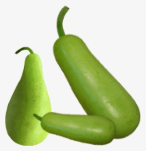 Sale Bottle Gourd Round 1 Kg - Bottle Gourd Png Transparent #3749831