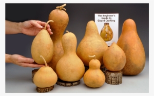 Sampler Gourd Box - Gourd #3750029