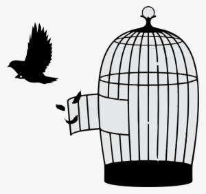 As Design Strategy Consultancy, We Bridge The Gap Between - Bird Out Of Cage #3750222