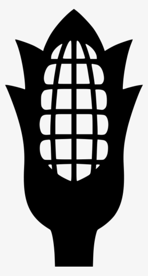 Corncob - - Maize #3750348