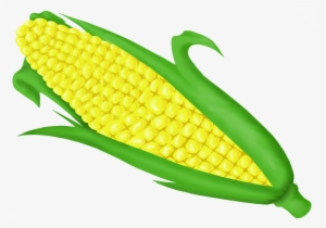 Corn On Cob Clip Art Png - Maize #3750352