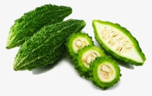 Bitter Gourd #3750438