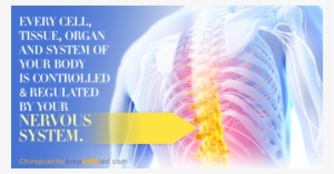 Ishmaels Care Of The Back #3751126