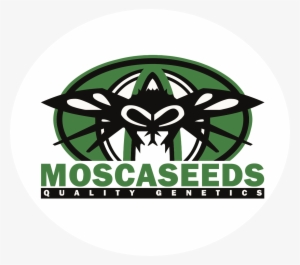 Mosca Seeds - Seed #3752747