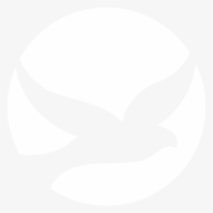 Publicações Mais Antigas - Logo Comunidade Catolica Shalom #3752806