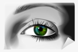 Eye Illustration #3753035