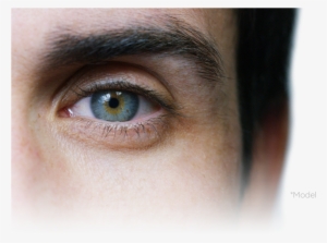 Close-up #3753126