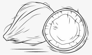 Clipart Sketch Book - Coconut Clipart Black And White #3753251