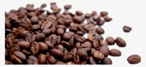 Coffee Beans No Background #3753281