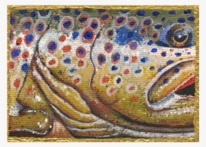 Related Products - Brown Trout #3753902