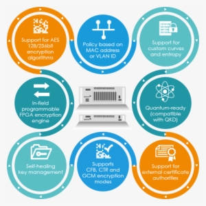 More Agile Than Some Might Think, The Best Modern Encryption - Information #3754297