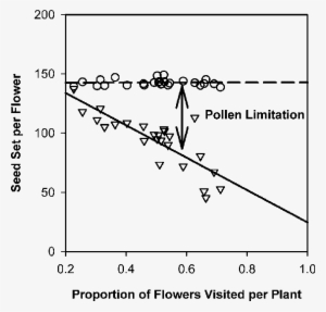 Seed Set Per Penstemon Flower In Response To The Proportion - Flower #3756612